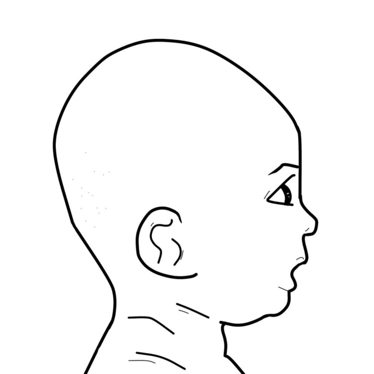 Forma della testa in Turicephalia